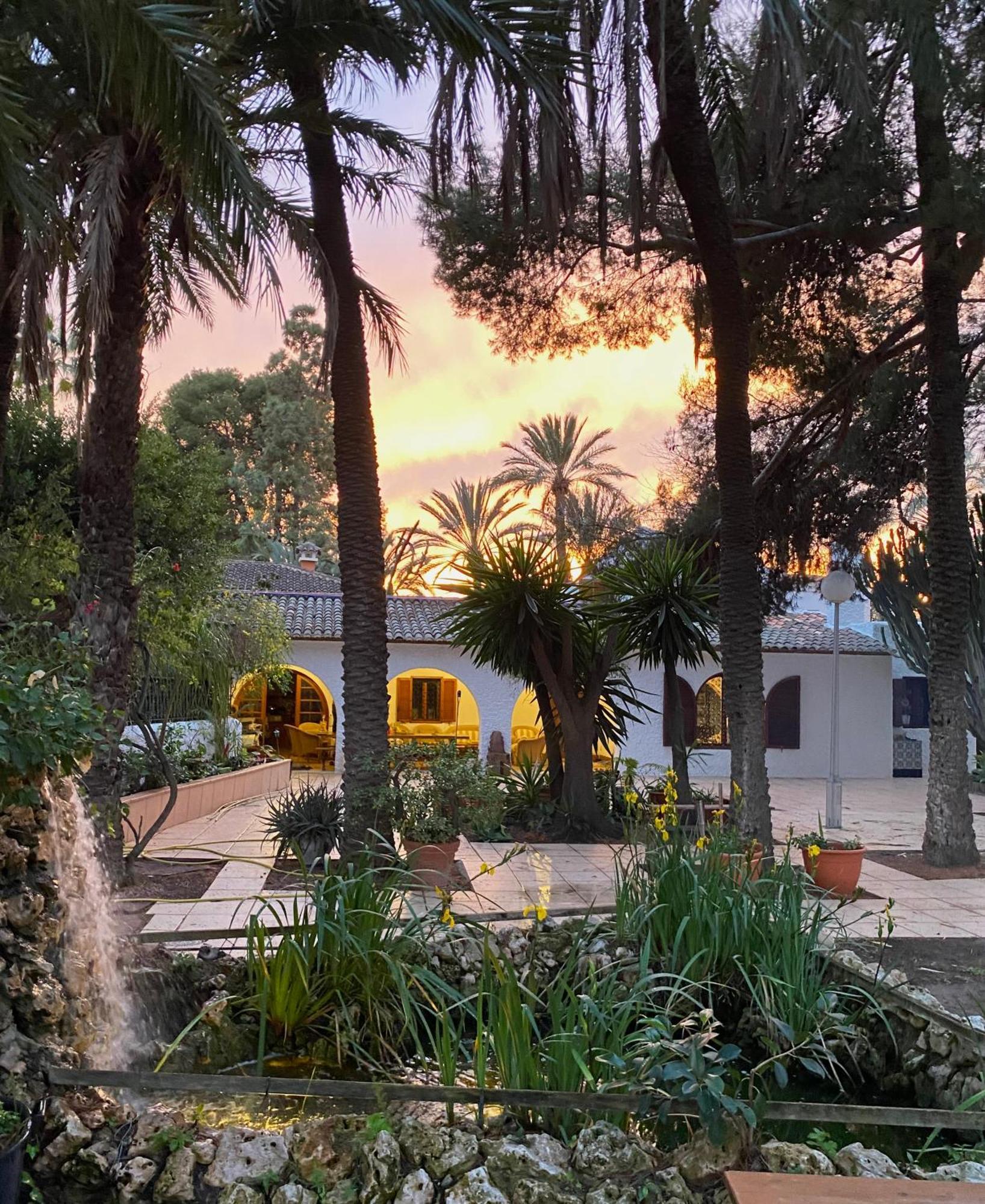Bed and Breakfast Pink Lemon House Эльче Экстерьер фото