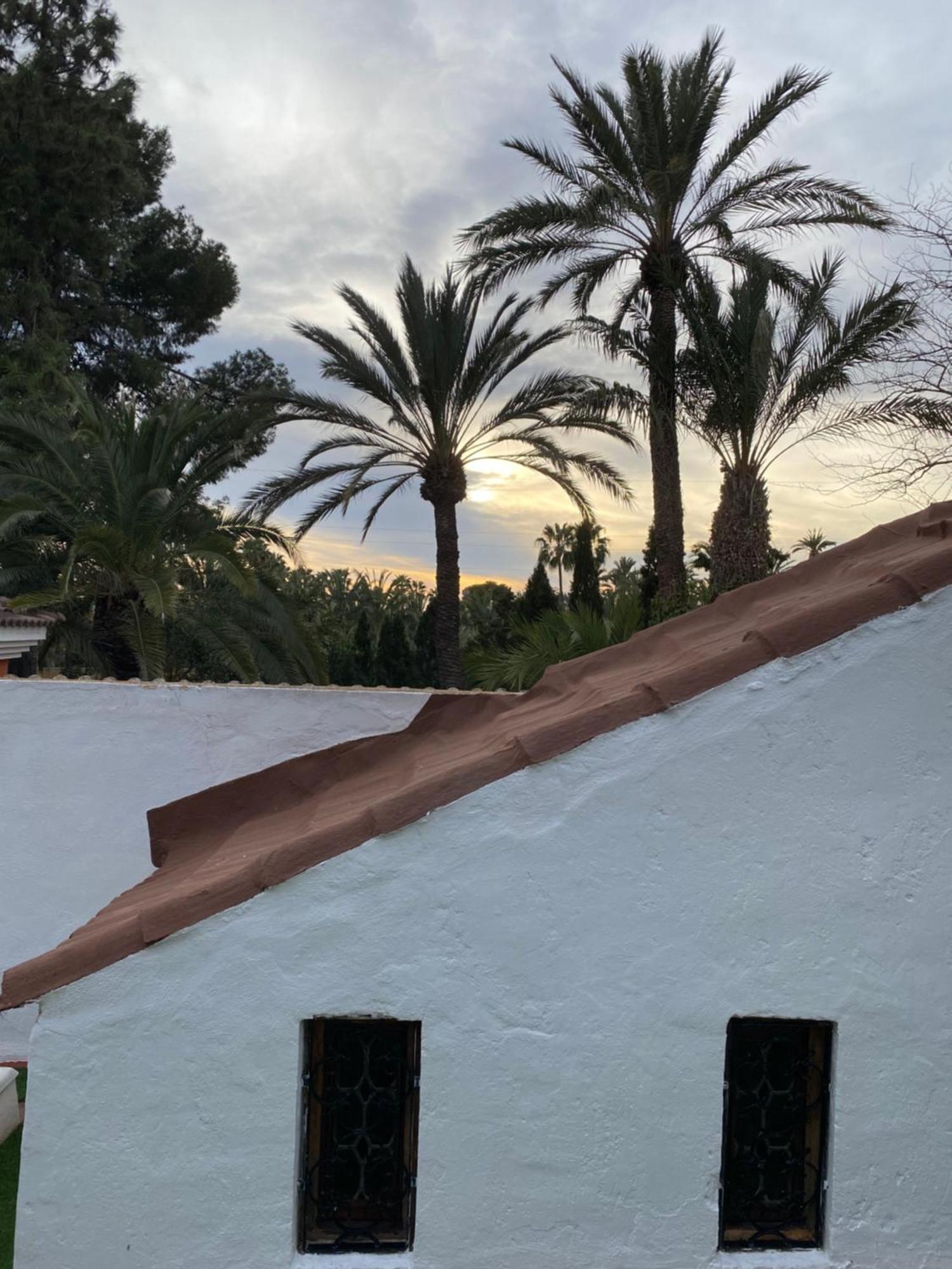 Bed and Breakfast Pink Lemon House Эльче Экстерьер фото
