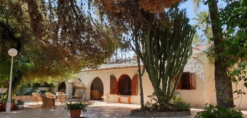 Bed and Breakfast Pink Lemon House Эльче Экстерьер фото